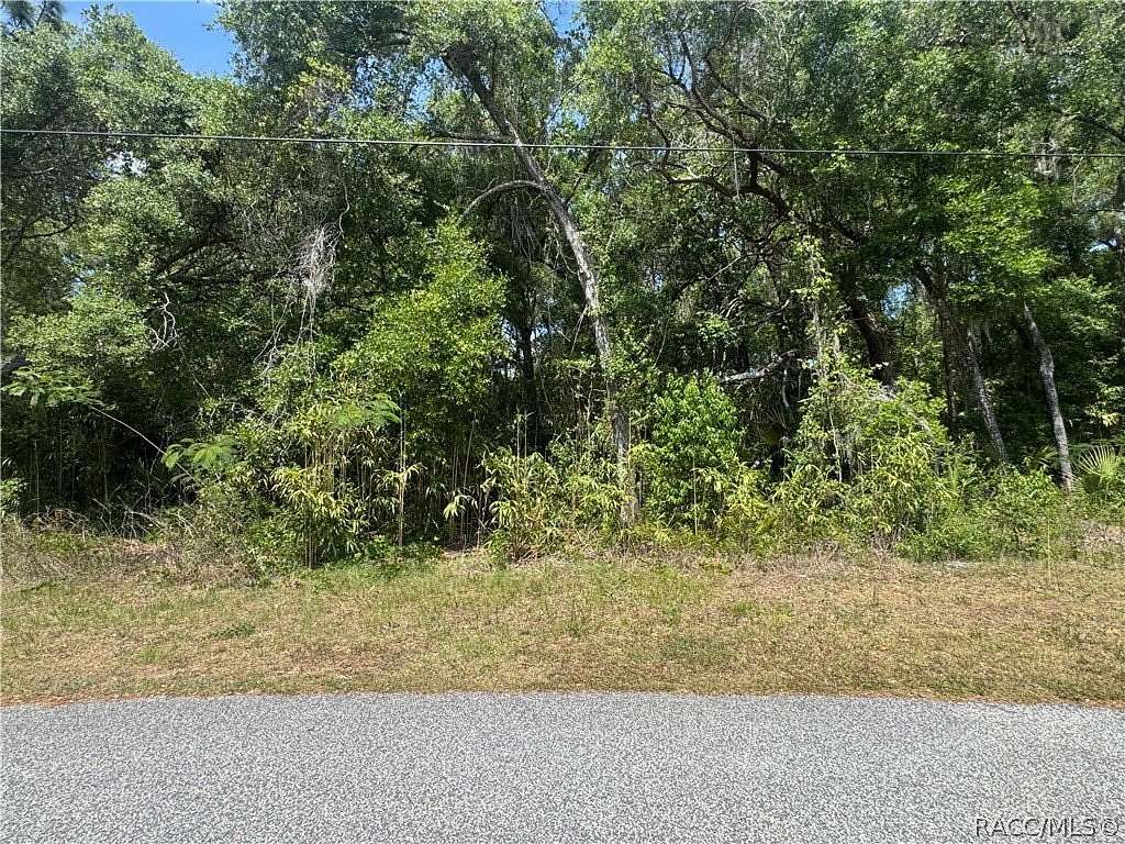 0.76 Acres of Residential Land for Sale in Inverness, Florida
