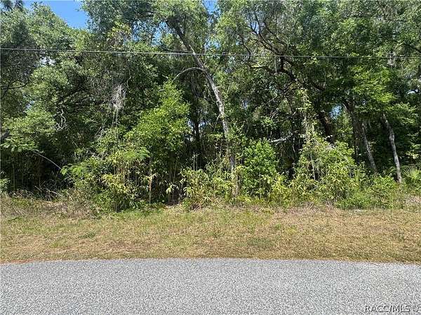 0.76 Acres of Residential Land for Sale in Inverness, Florida