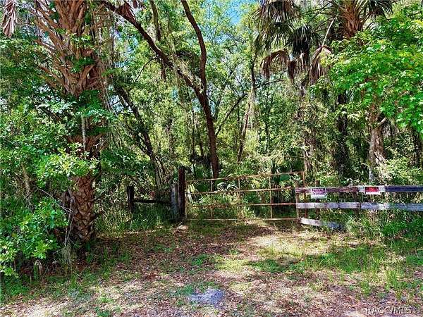 41.4 Acres of Recreational Land for Sale in Brooksville, Florida