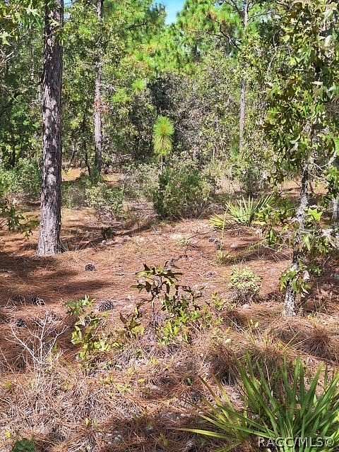 0.8 Acres of Residential Land for Sale in Dunnellon, Florida