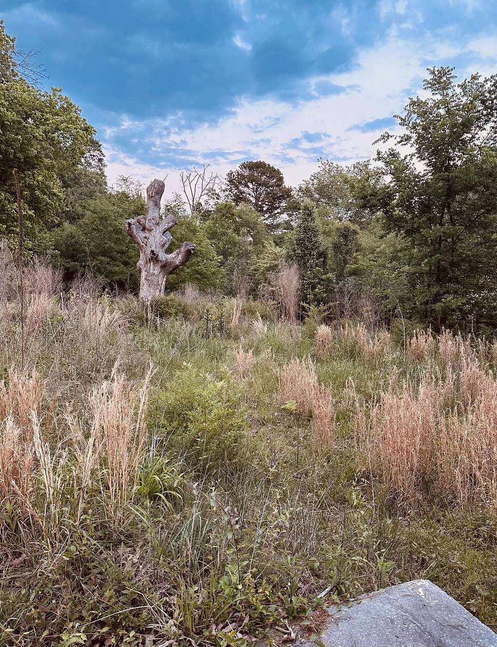 0.99 Acres of Residential Land for Sale in LaFayette, Georgia