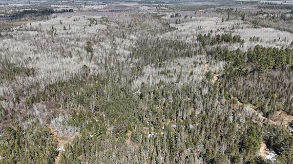 80 Acres of Recreational Land for Sale in Tomahawk, Wisconsin
