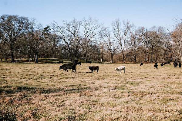 124 Acres of Land for Sale in Lexington, Georgia