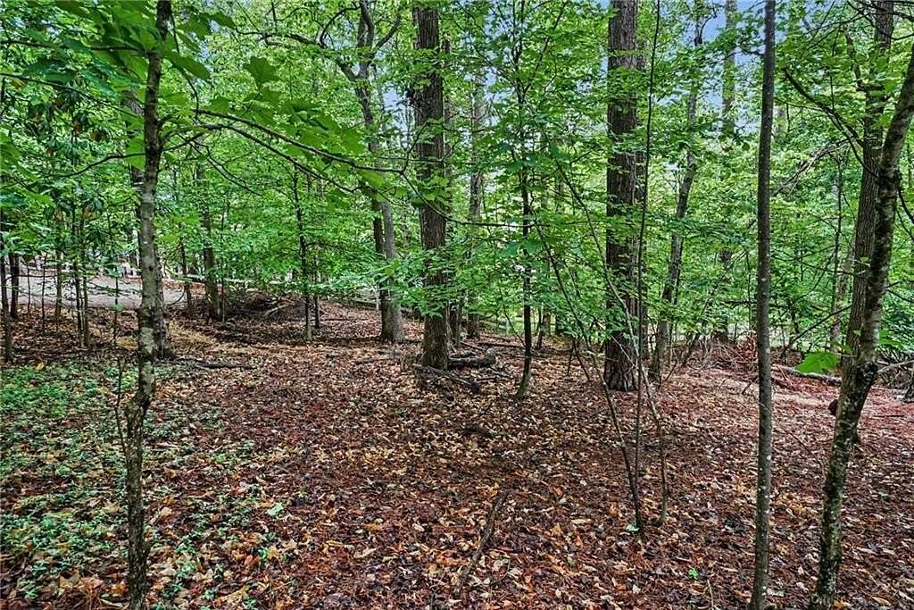 1 Acre of Residential Land for Sale in Marietta, Georgia