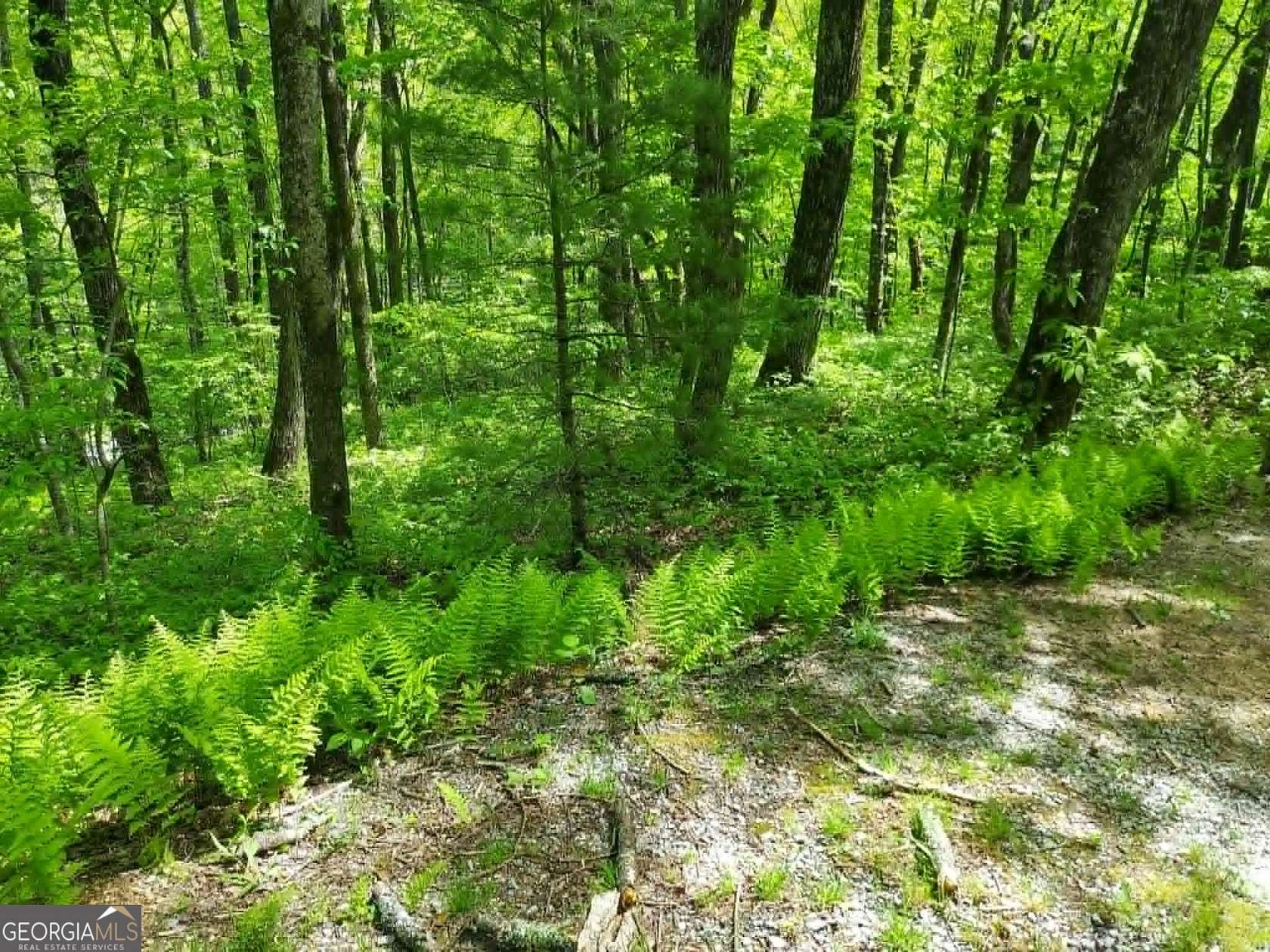0.4 Acres of Land for Sale in Sky Valley, Georgia