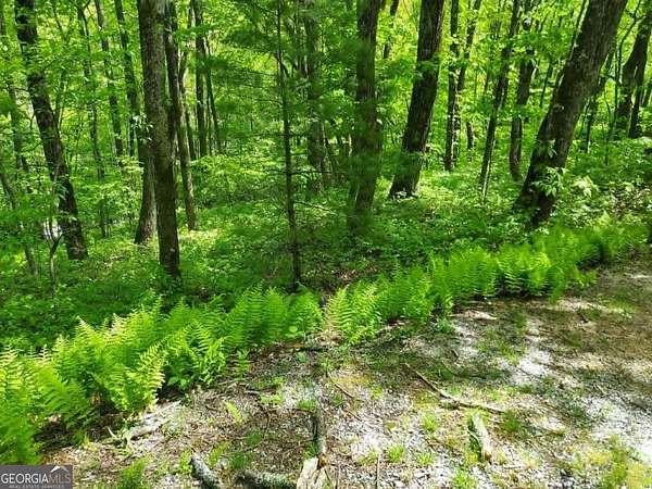 0.4 Acres of Land for Sale in Sky Valley, Georgia