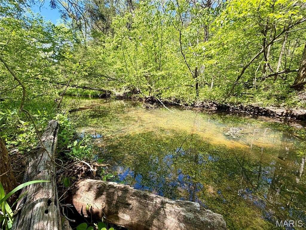 20 Acres of Recreational & Residential Land for Sale in Potosi, Missouri