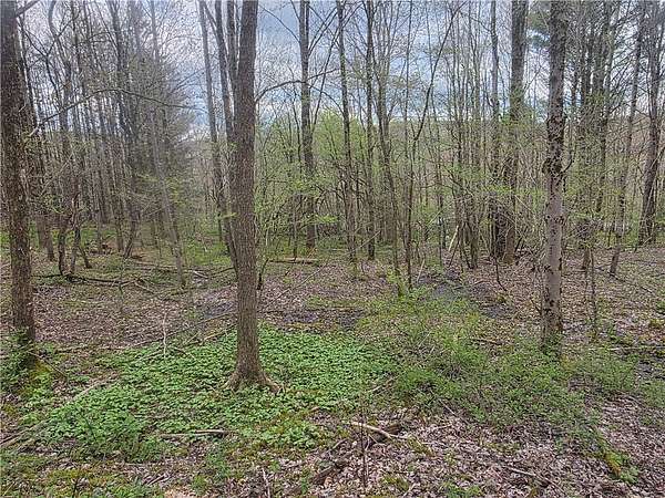 10 Acres of Recreational Land for Sale in South Otselic, New York