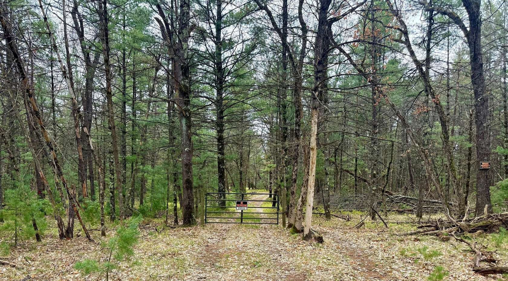 22.4 Acres of Recreational Land for Sale in Baldwin, Michigan