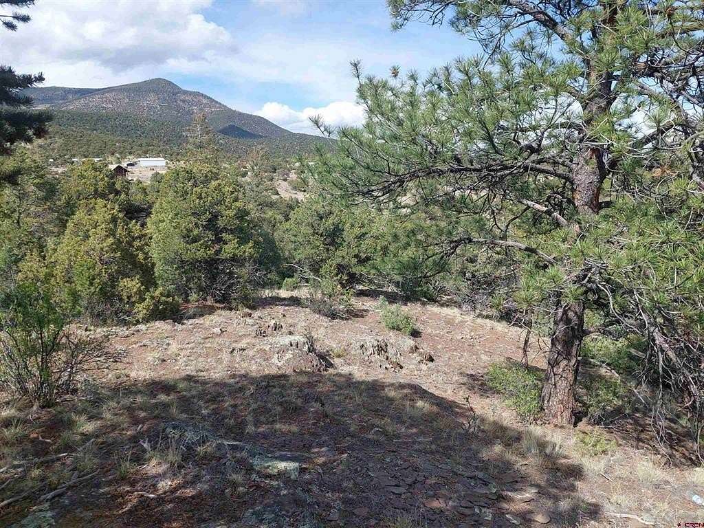 0.47 Acres of Residential Land for Sale in South Fork, Colorado