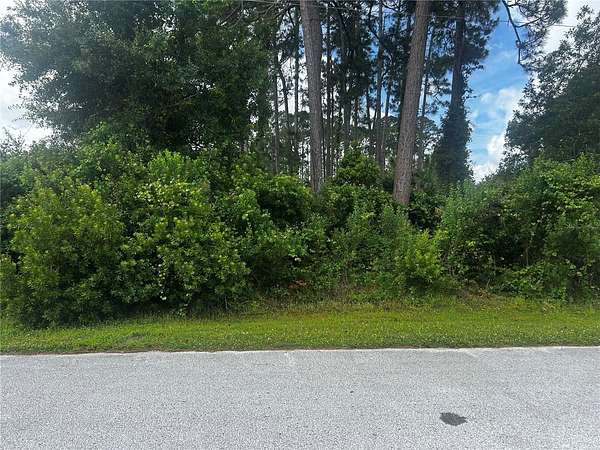 0.23 Acres of Land for Sale in Palm Coast, Florida