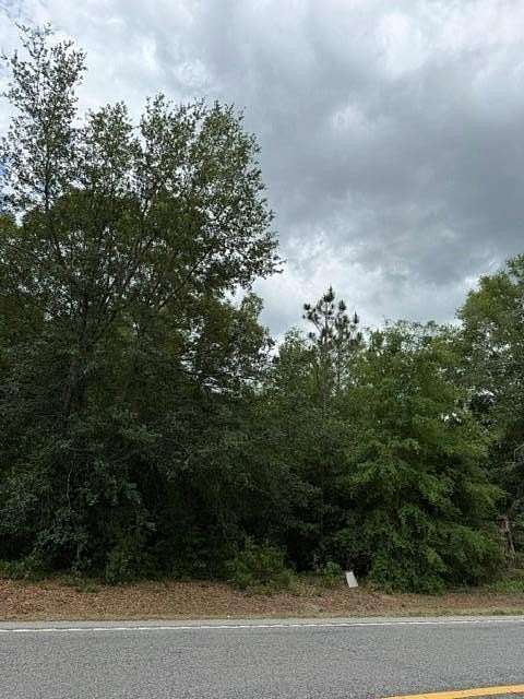1 Acre of Residential Land for Sale in Bainbridge, Georgia