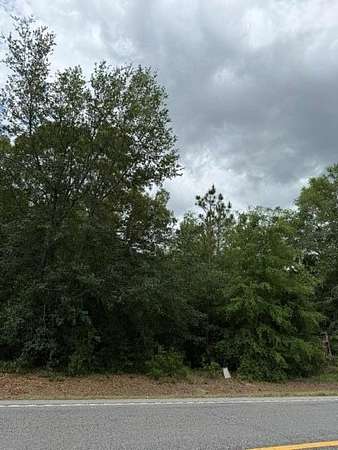 1 Acre of Residential Land for Sale in Bainbridge, Georgia