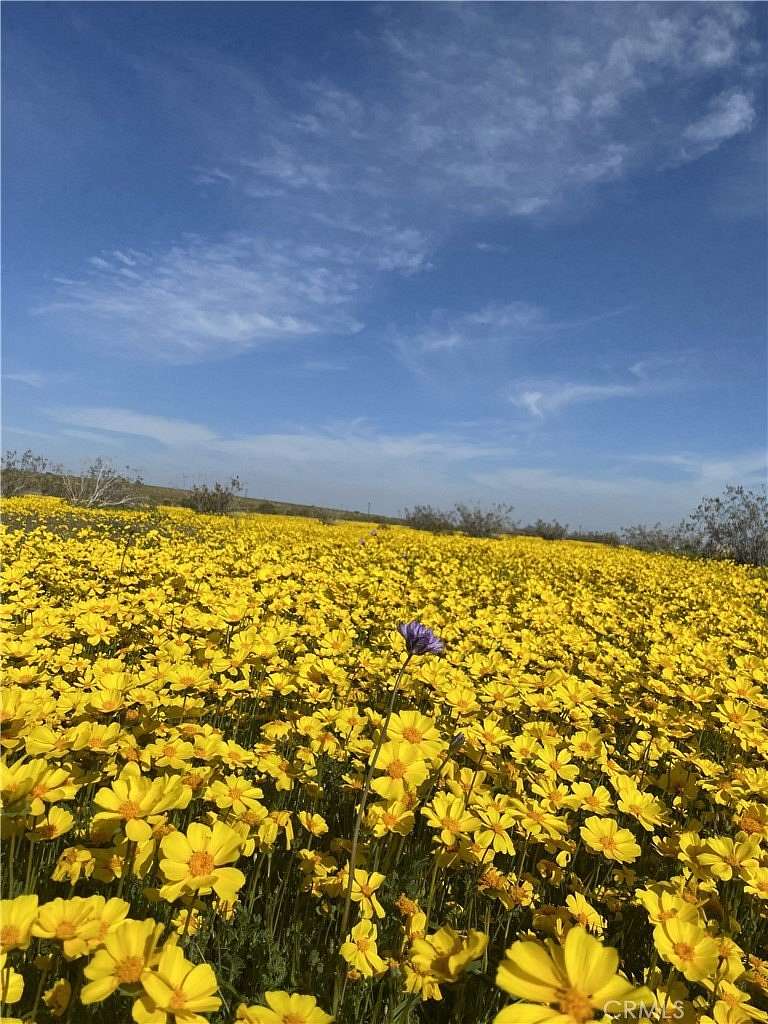 5 Acres of Residential Land for Sale in Mojave, California