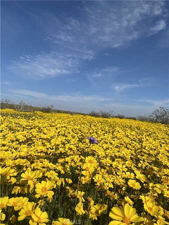 5 Acres of Residential Land for Sale in Mojave, California