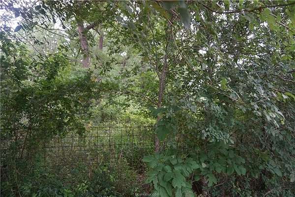 5 Acres of Residential Land for Sale in Caldwell, Texas