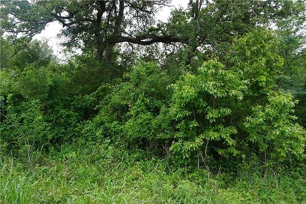 2 Acres of Residential Land for Sale in Caldwell, Texas