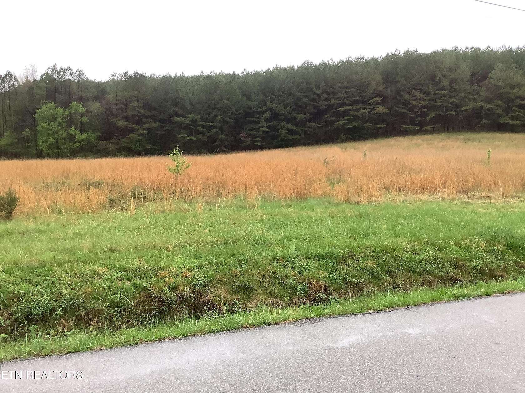0.7 Acres of Residential Land for Sale in Decatur, Tennessee