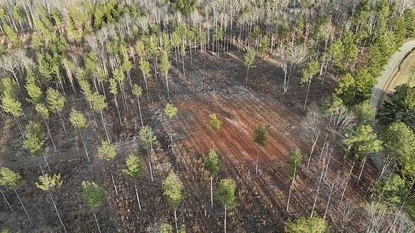 20 Acres of Recreational & Residential Land for Sale in Jetersville, Virginia