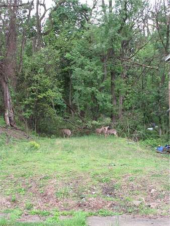 0.06 Acres of Residential Land for Sale in Wilkinsburg, Pennsylvania