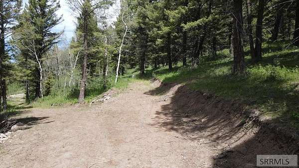 3.53 Acres of Residential Land for Sale in Island Park, Idaho