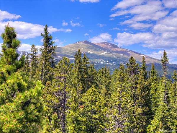 2.5 Acres of Residential Land for Sale in Fairplay, Colorado