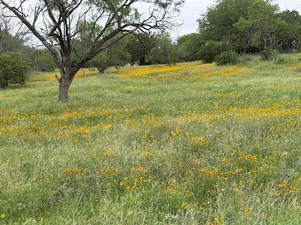 0.24 Acres of Land for Sale in Horseshoe Bay, Texas