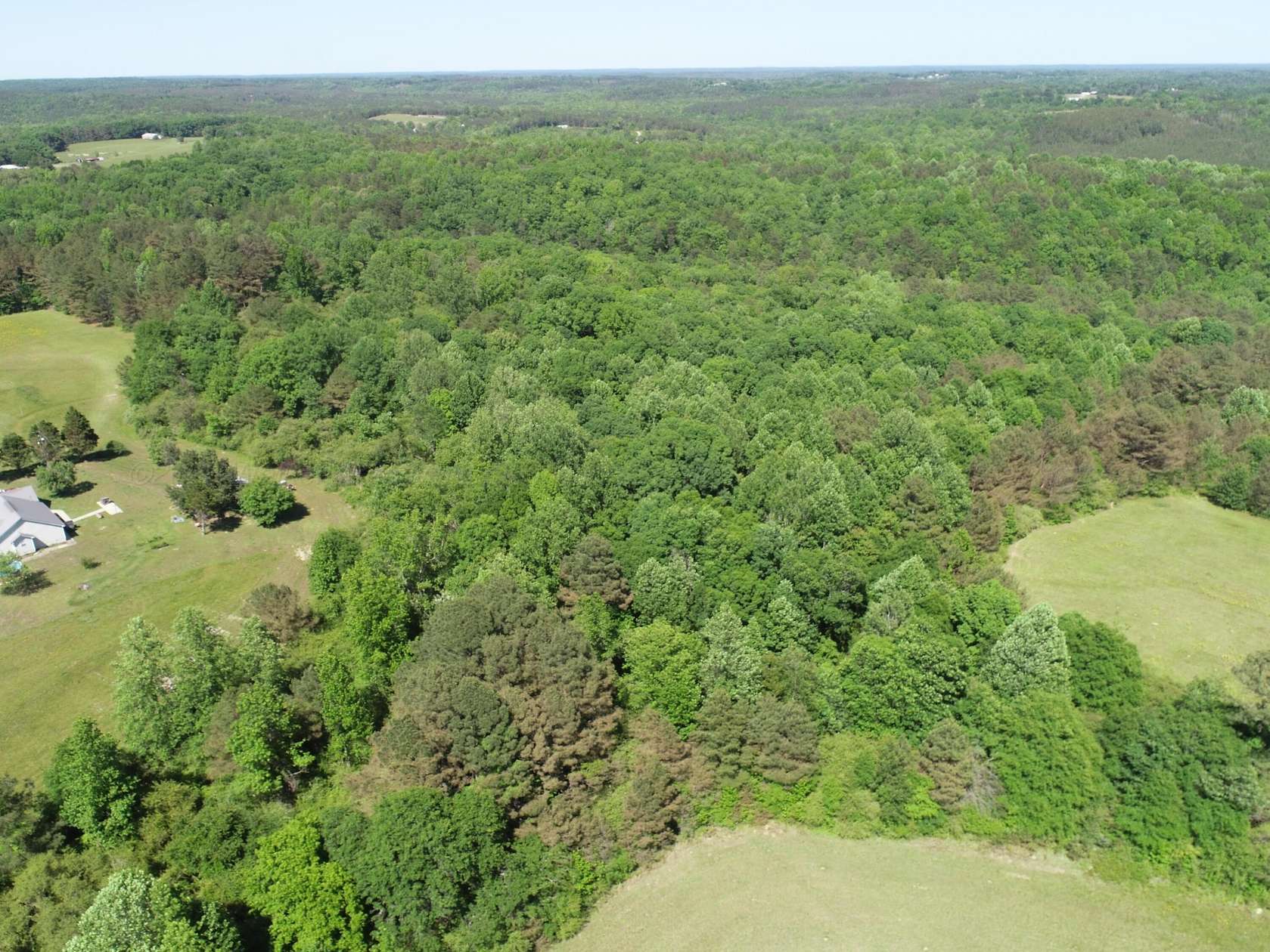 40 Acres of Recreational & Residential Land for Sale in Haleyville, Alabama