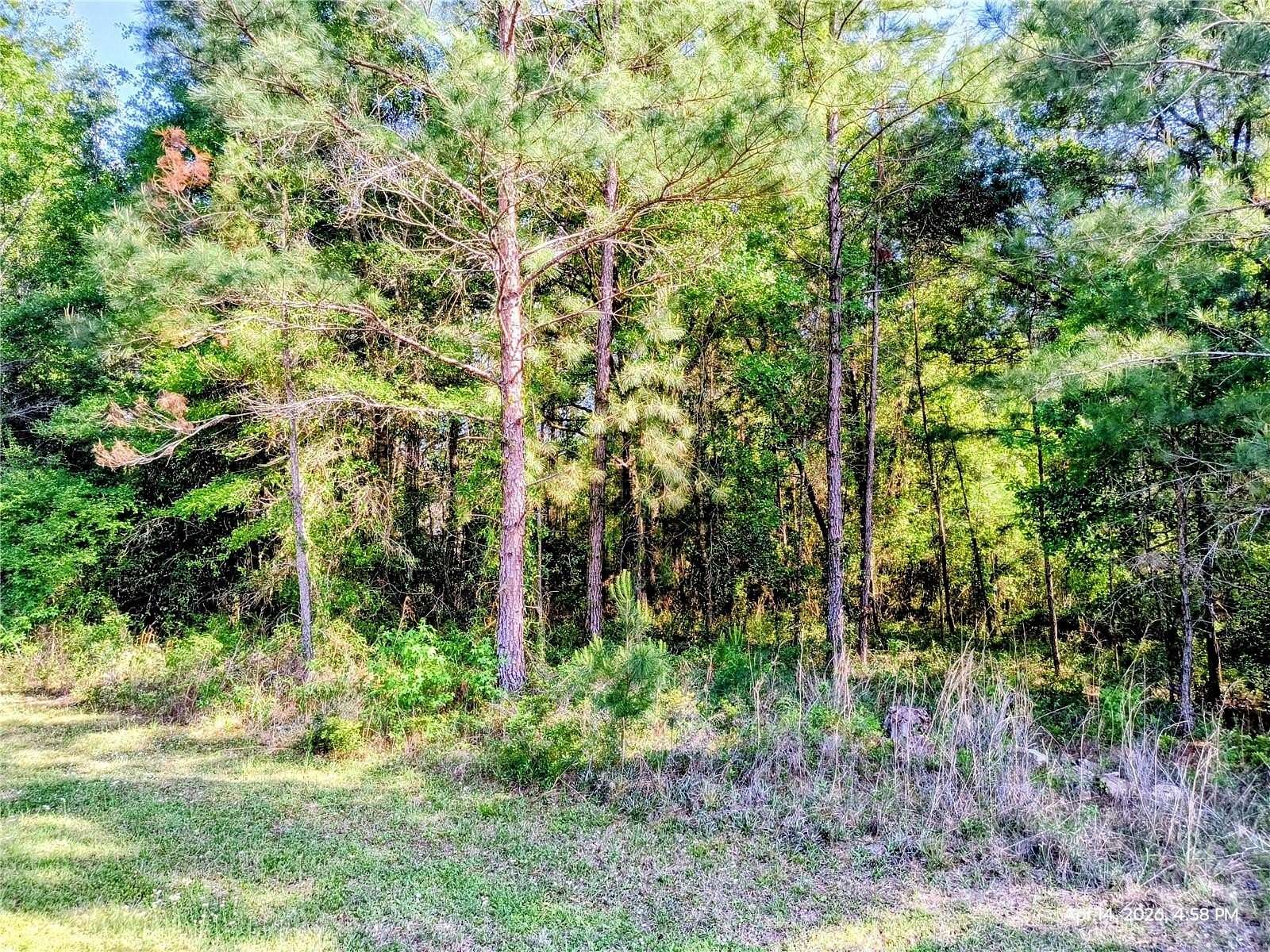 3 Acres of Land for Sale in Williston, Florida
