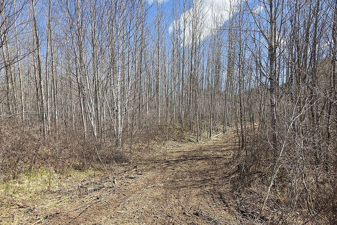 10 Acres of Recreational & Residential Land for Sale in Tomahawk, Wisconsin