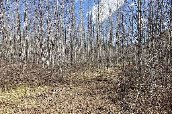 10 Acres of Recreational & Residential Land for Sale in Tomahawk, Wisconsin