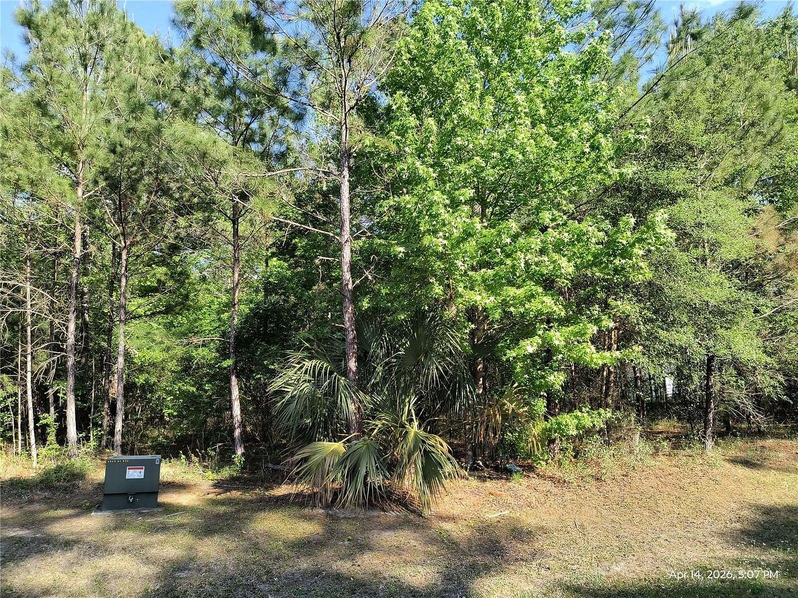2 Acres of Residential Land for Sale in Williston, Florida