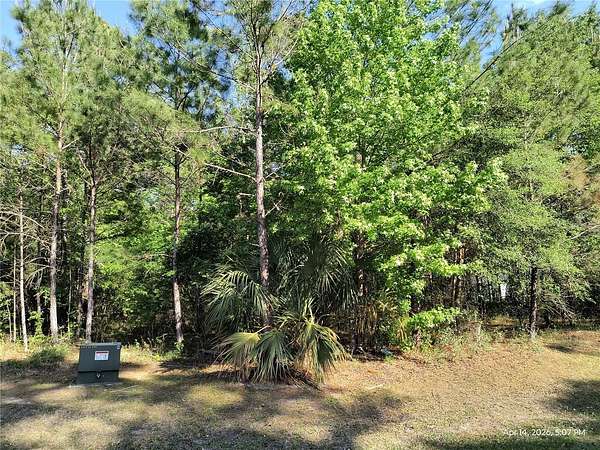 2 Acres of Residential Land for Sale in Williston, Florida