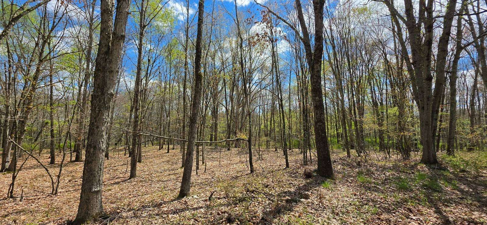5 Acres of Residential Land for Sale in Cochecton, New York