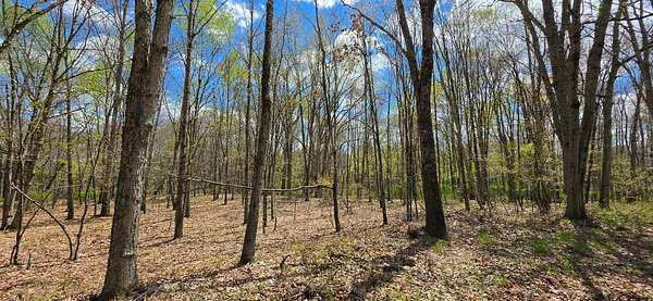 5 Acres of Residential Land for Sale in Cochecton, New York