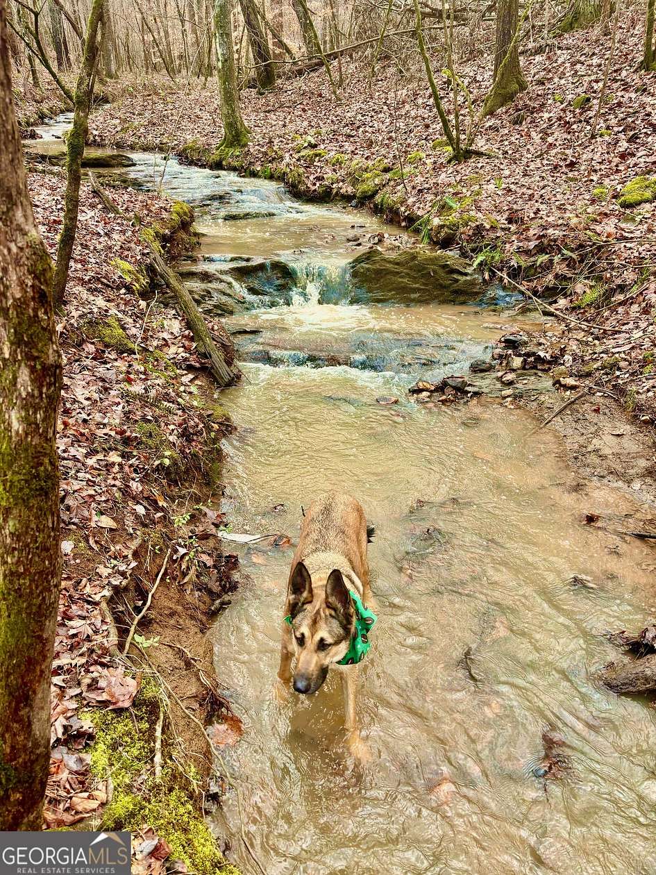 38.7 Acres of Land for Sale in Dallas, Georgia