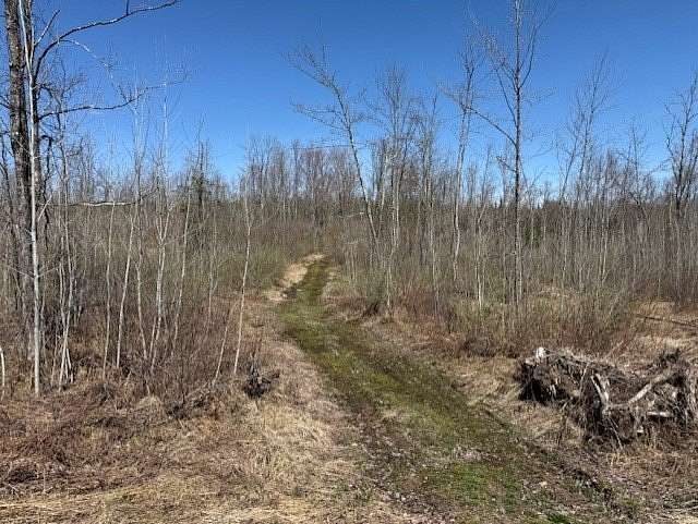 16.8 Acres of Recreational & Residential Land for Sale in Ojibwa, Wisconsin