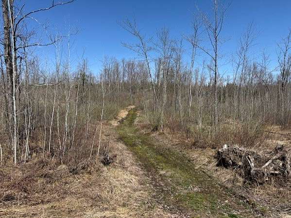 16.8 Acres of Recreational & Residential Land for Sale in Ojibwa, Wisconsin