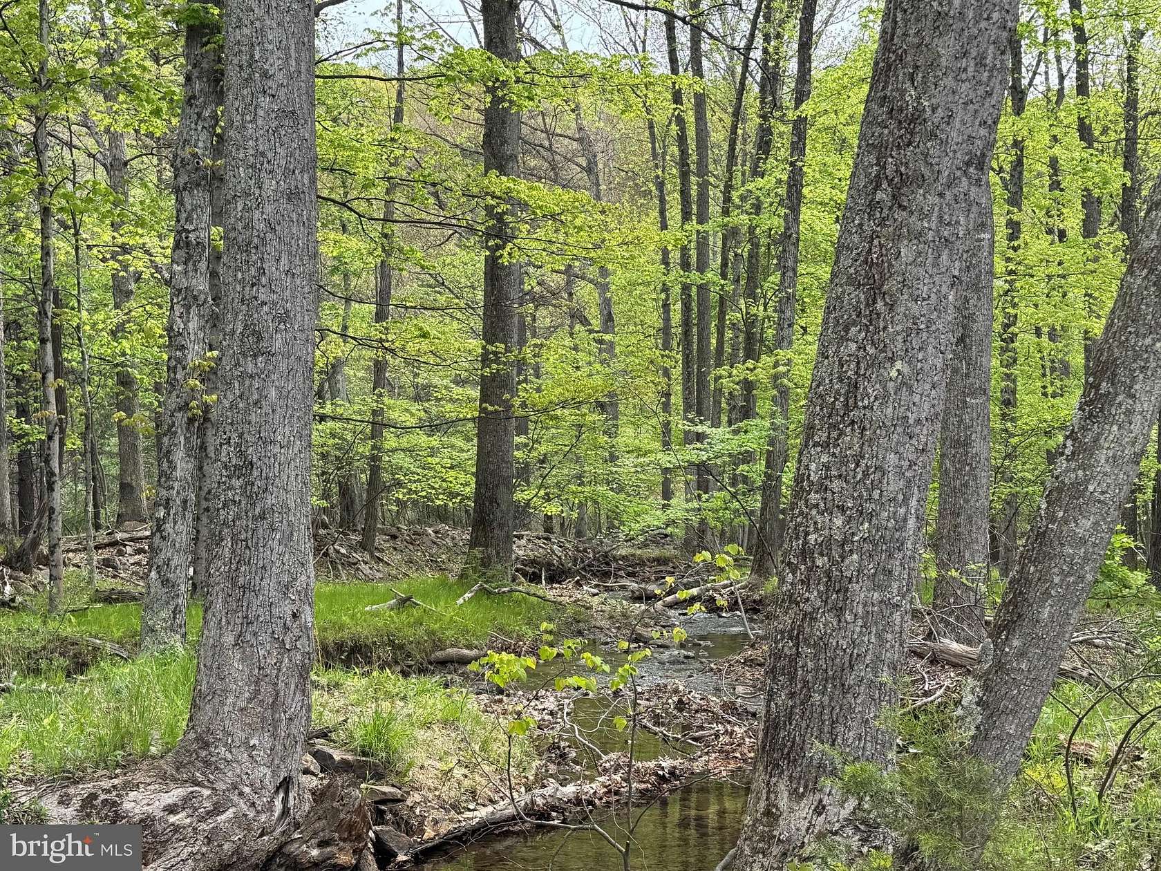 2.68 Acres of Residential Land for Sale in Berkeley Springs, West Virginia