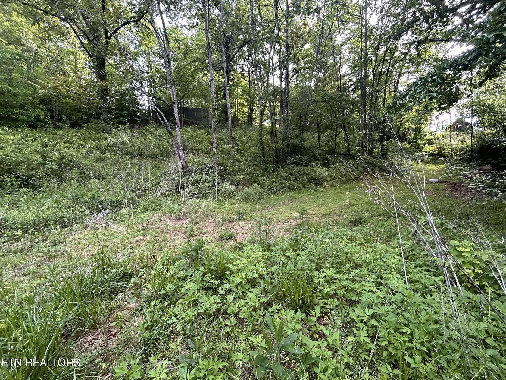 0.34 Acres of Land for Sale in Rutledge, Tennessee