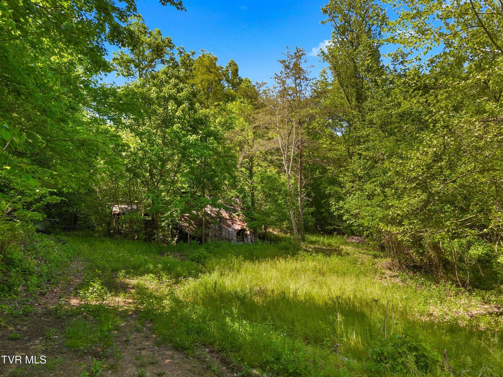 25.8 Acres of Recreational & Residential Land for Sale in Bulls Gap, Tennessee