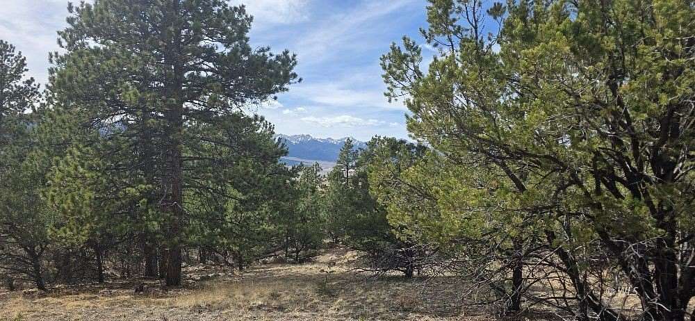7.7 Acres of Residential Land for Sale in Westcliffe, Colorado
