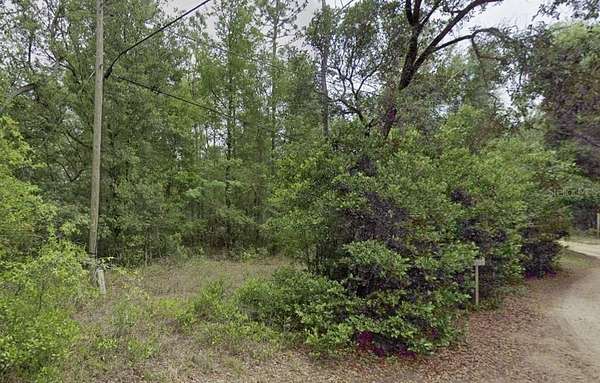 0.34 Acres of Land for Sale in Dunnellon, Florida