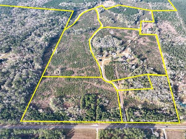 38 Acres of Recreational Land for Sale in Saratoga, Texas