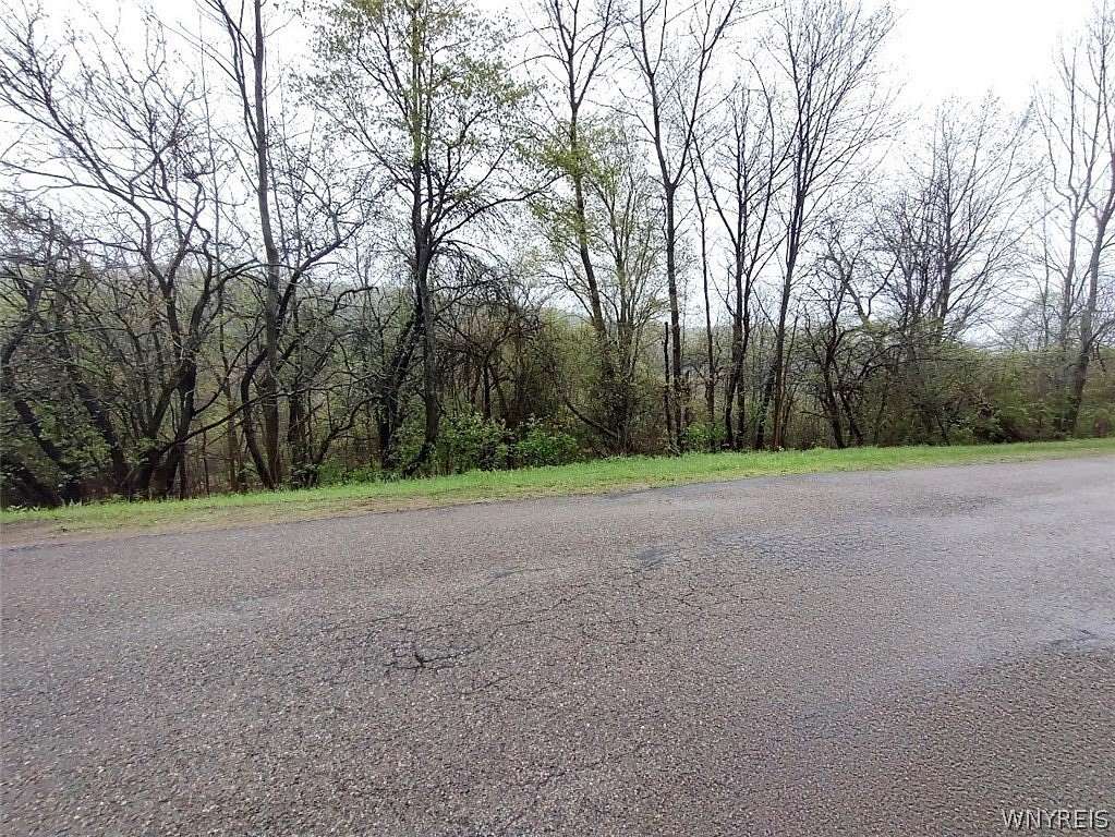 9.3 Acres of Residential Land for Sale in Great Valley, New York