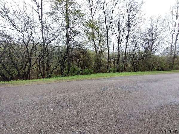 9.3 Acres of Residential Land for Sale in Great Valley, New York