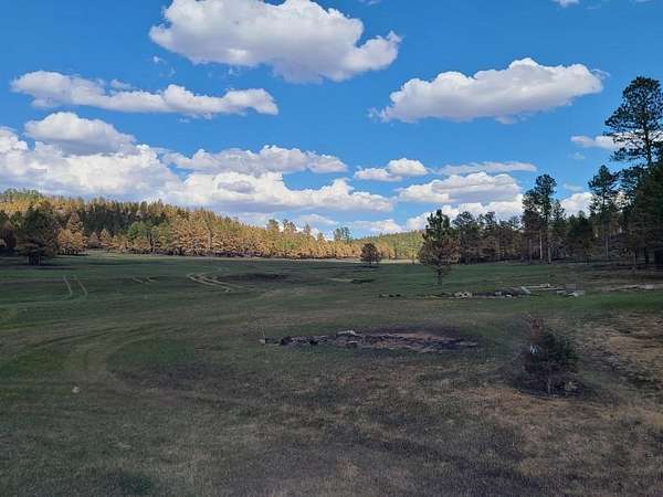 33.2 Acres of Land for Sale in Custer, South Dakota