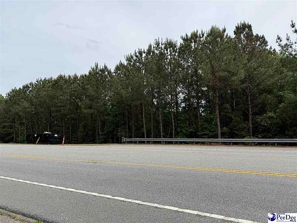 16 Acres of Land for Sale in Florence, South Carolina