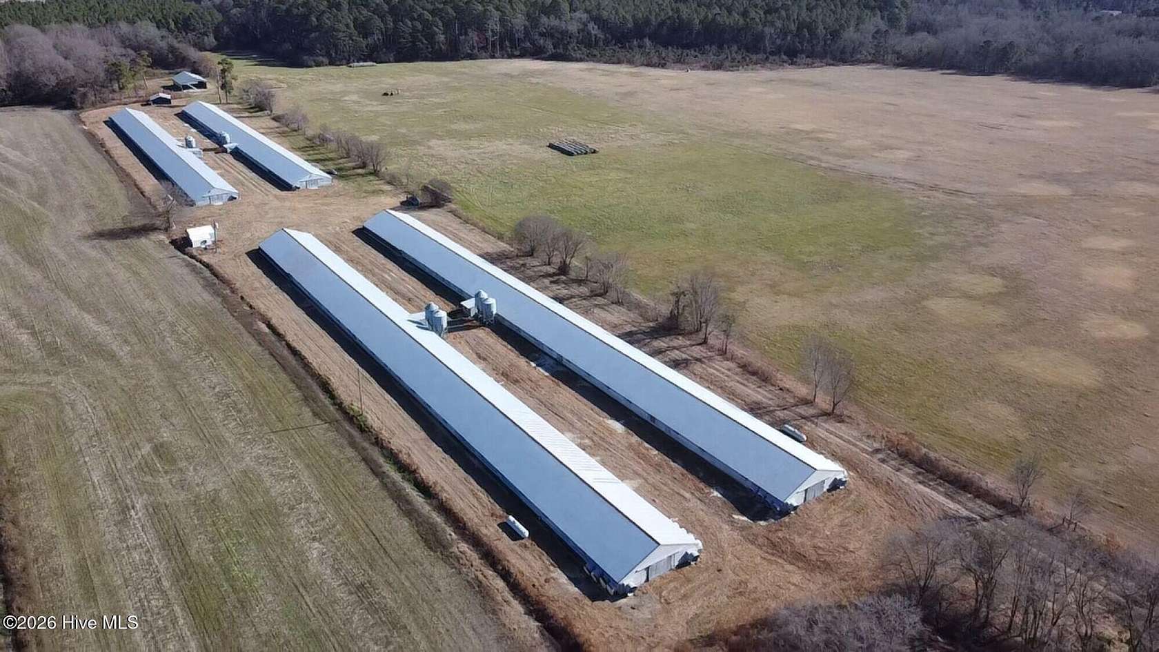 15 Acres of Land for Sale in Gibson, North Carolina