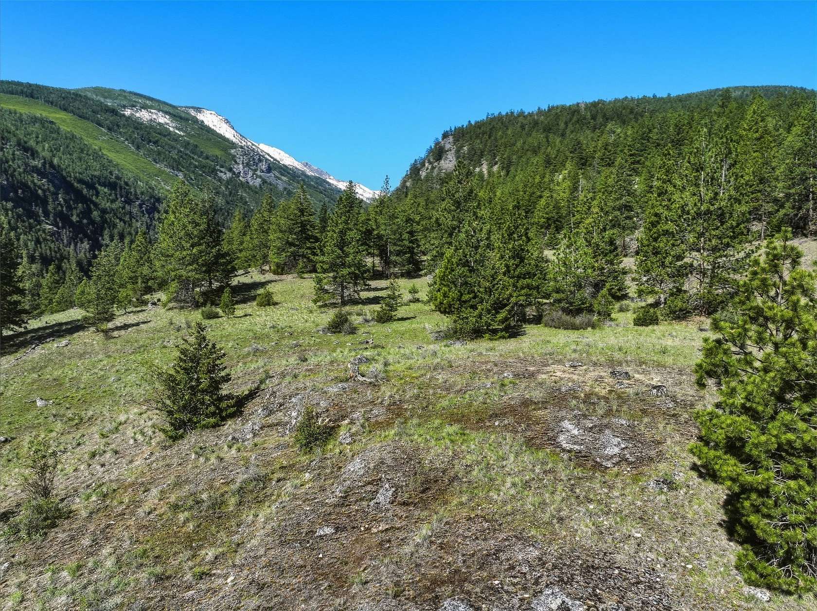 59.7 Acres of Recreational Land for Sale in Victor, Montana